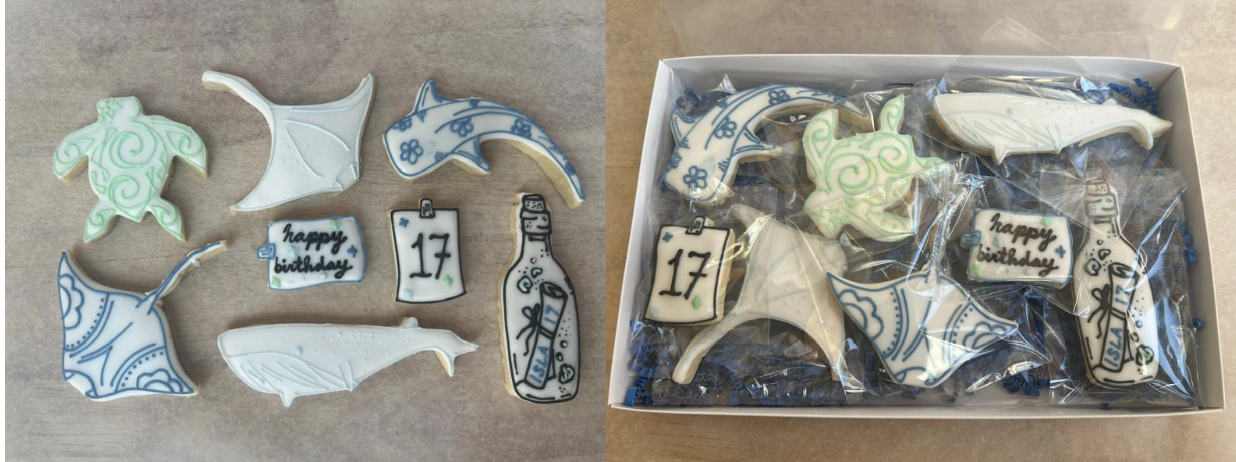 Birthday Cookie 9